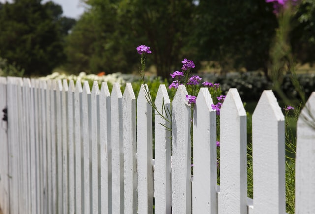 cloture en bois avec fleur mauve