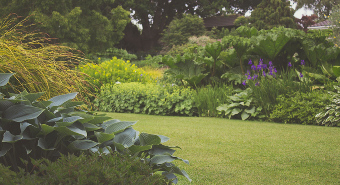 jardin avec pelouse taillé et de nombreuses fleurs